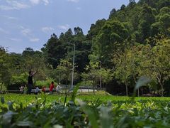 -火炉山森林公园