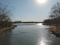 -大兴滨河森林公园