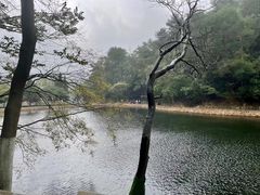 -韶山毛泽东同志故居