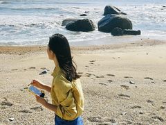 -汕尾风车岛