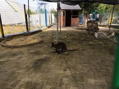 -武汉紫薇都市田园