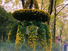 -杭州植物园