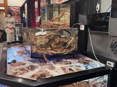 -蟹道乐(道顿堀本店)