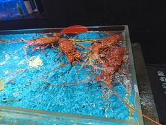 -徐记海鲜(大雁塔|金都店)