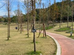 -牛岗山公园