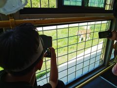 -横道河子东北虎林园