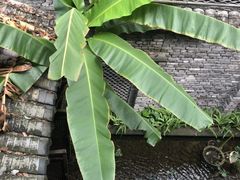 -鱼桥巷·美学川菜