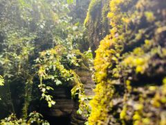 -梭布垭石林景区