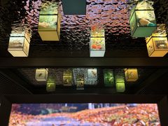 -中国湿地博物馆