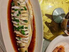 -金美华轩(东方路齐鲁店)