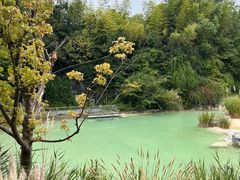 -上海吴淞炮台湾国家湿地公园