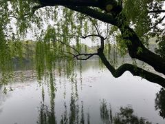 -西湖游船