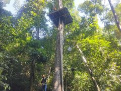 -西双版纳原始森林公园