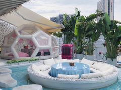 -天空花园餐吧·生日·团建(南山店)