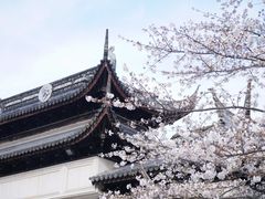 -苏州上方山国家森林公园
