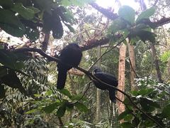 -清迈夜间动物园