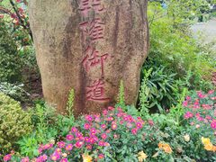 -苏州上方山国家森林公园