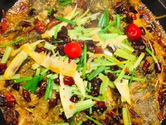 老板恋上鱼-老板恋上鱼(恒隆广场店)