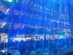 -成都浩海立方海洋公园