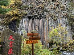 -望天鹅景区