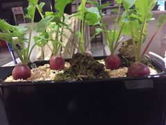 -茅庐·川粤精品私房菜(金沙遗址店)