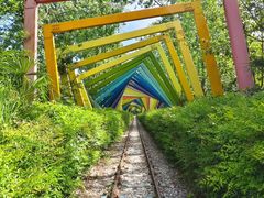 -合肥滨湖国家森林公园