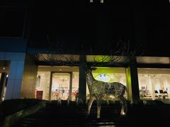 -宁曼路