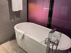 -南京禄口机场雅高铂尔曼大酒店