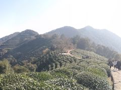 -西湖风景区十里琅珰-五云山