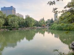 -西苑公园