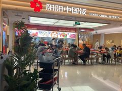 -阳阳中国饭(龙湖大兴天街)