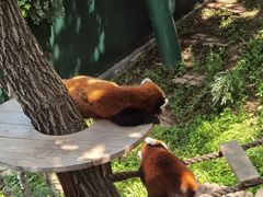 -大连森林动物园