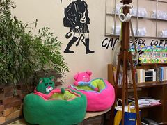 -CAPRAIBEXCOFFEE羍市(菉葭巷店)