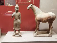 -宁夏博物馆