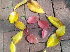 -金鸡湖桃花岛