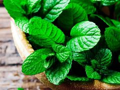 -白金汉爵大酒店(相城店)