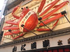 -蟹道乐(道顿堀本店)