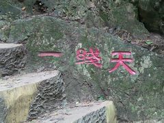 -天女山森林公园