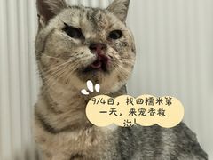 -守诺宠物医院·眼科· 特色牙科·异宠专科(虹口店)