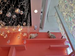 -藏猫猫咖啡主题馆(中央大道店)