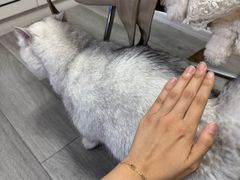 -M.S拳击泰拳馆(大学路店)