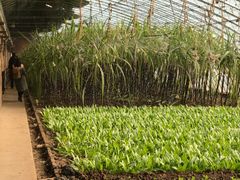 -万源龙顺度假庄园生态观光园