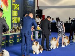 -东浩兰生上海世博展览馆