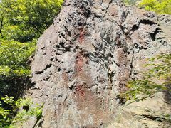 -北仑森林植物园