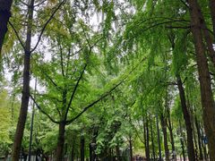 -温江公园