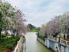 -海珠湖公园