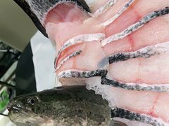 -红鼎豆捞·非遗鲍皇汤火锅(宝丰路店)