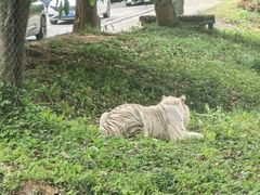 -乐和乐都主题乐园