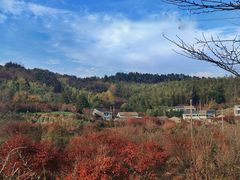 -四明山国家森林公园