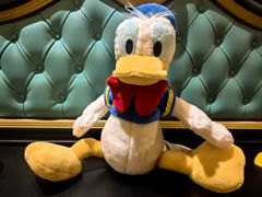 -IL paperino帕帕里诺冰激凌